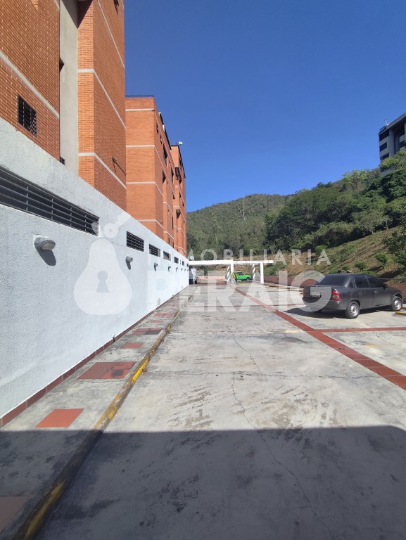 Apartamento en Terrazas de Mampote — foto 15