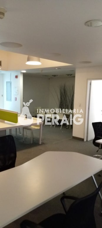 Oficina en Centro Plaza — Los Palos Grandes — foto 3