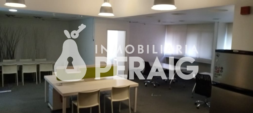 Oficina en Centro Plaza — Los Palos Grandes — foto 6