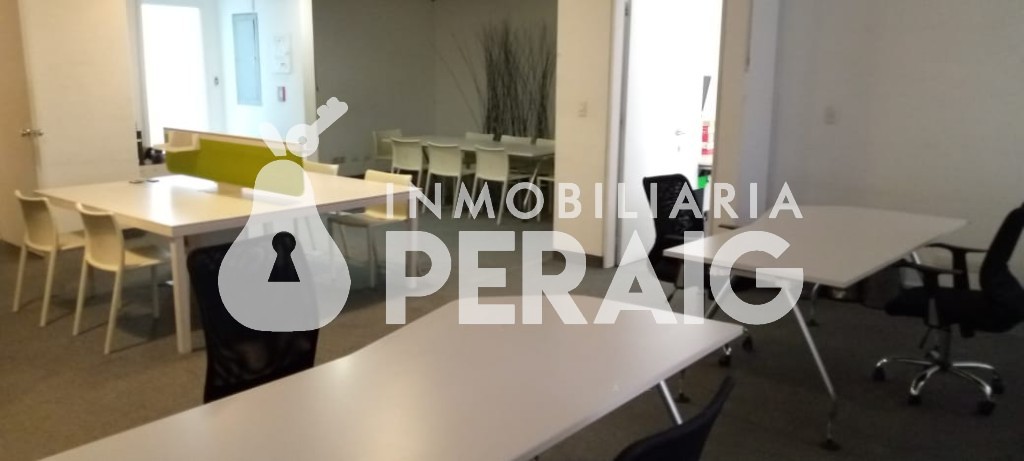 Oficina en Centro Plaza — Los Palos Grandes — foto 13